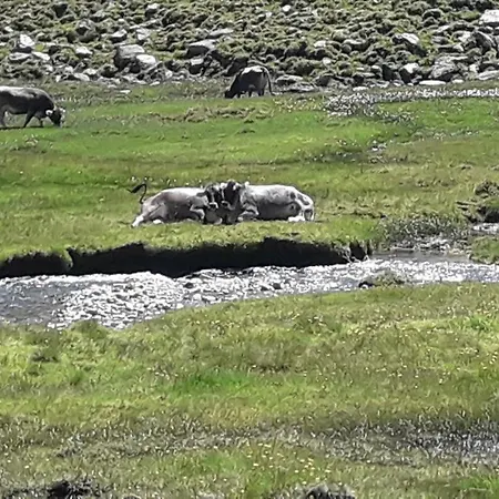 Haus Am Rechten Fleck Lägenhet Kaunertal
