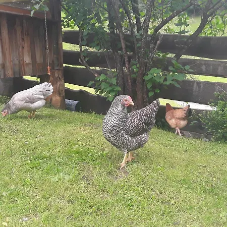 Haus Am Rechten Fleck Διαμέρισμα *