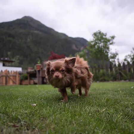 Διαμέρισμα Haus Am Rechten Fleck