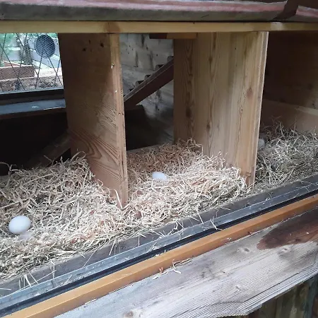 Haus Am Rechten Fleck Каунерталь
